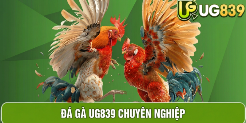 Hình ảnh sản phẩm đá gà