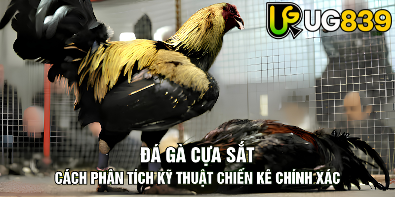 Tin tức