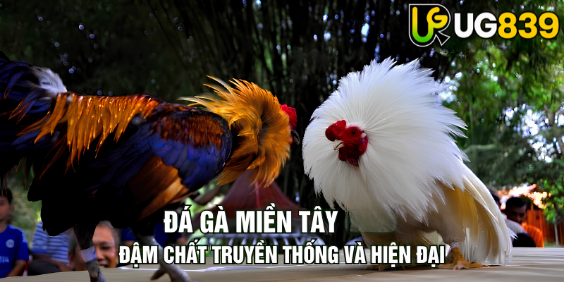 Tin tức