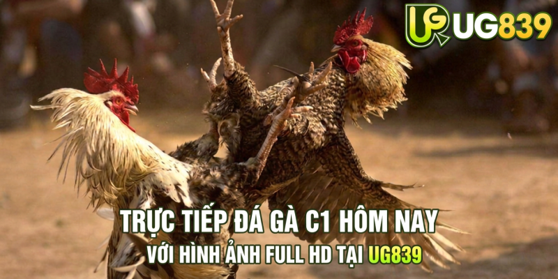 Tin tức